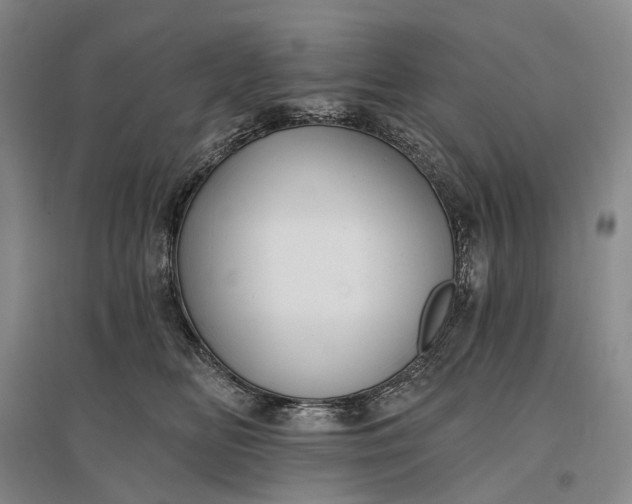 X0000097290518200802291754