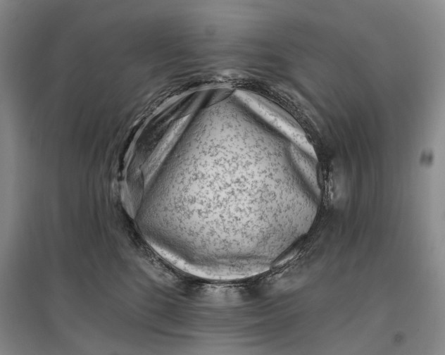 X0000097290520200802291754