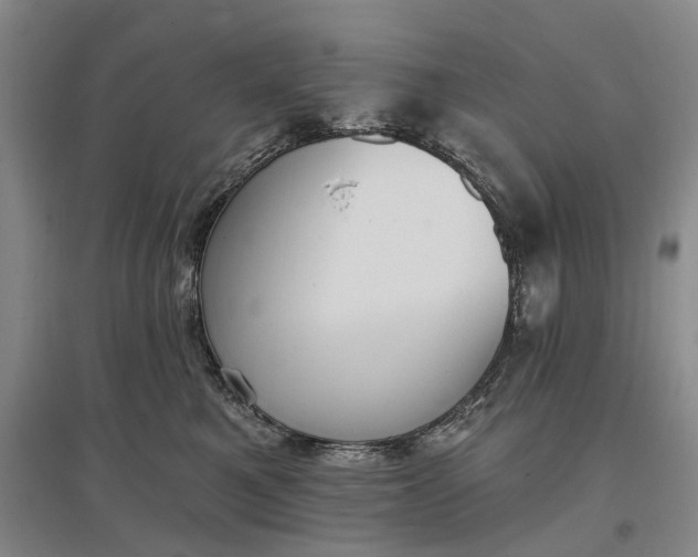 X0000097290521200802291754