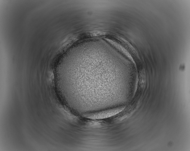 X0000097290523200802291754