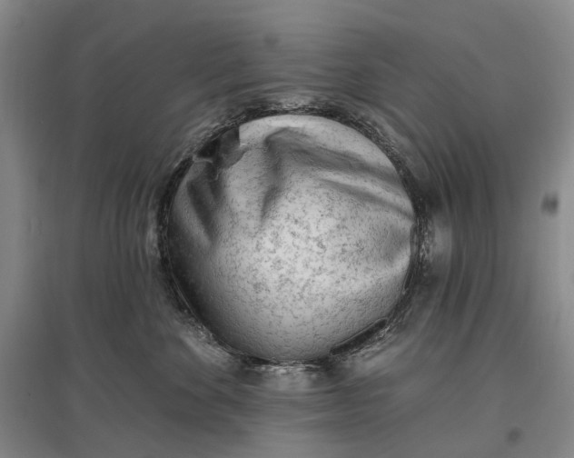 X0000097290524200802291754