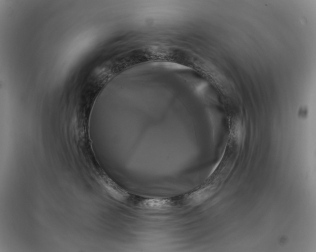 X0000097290526200802291754