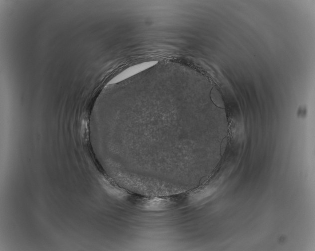 X0000097290527200802291754