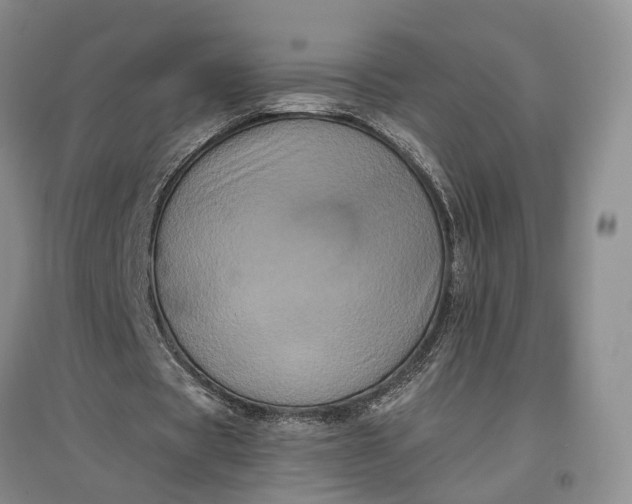 X0000097290529200802291753