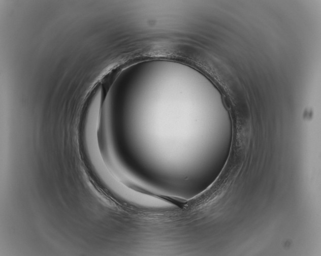 X0000097290530200802291753
