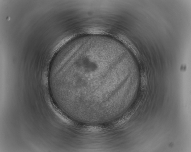 X0000097290533200802291753