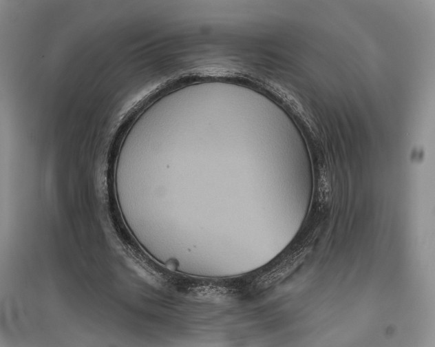X0000097290535200802291753