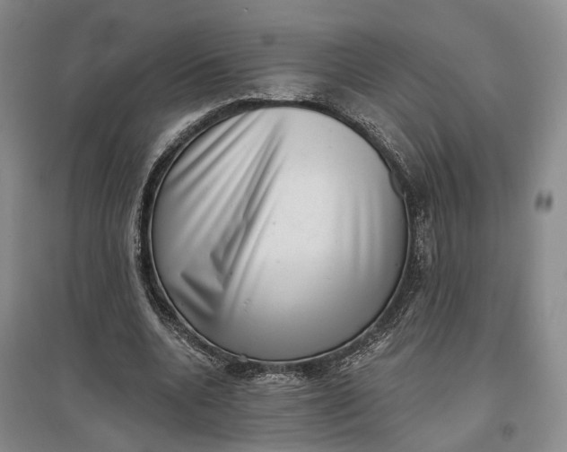 X0000097290536200802291753