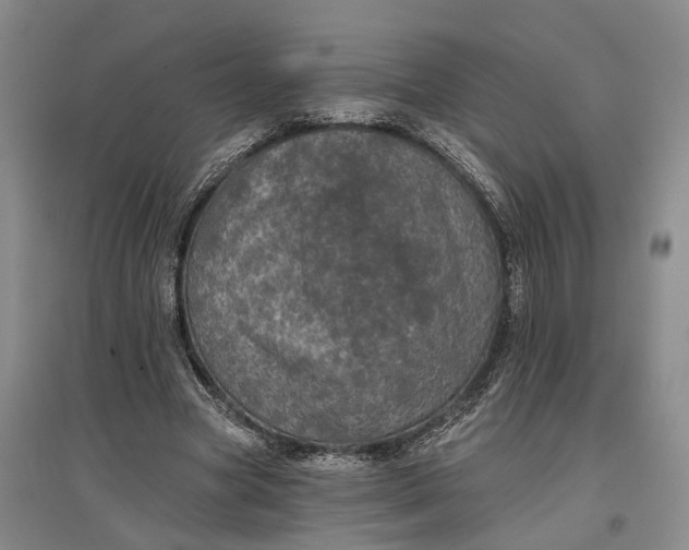 X0000097290537200802291753