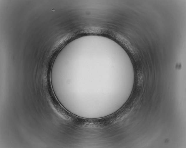 X0000097290538200802291753
