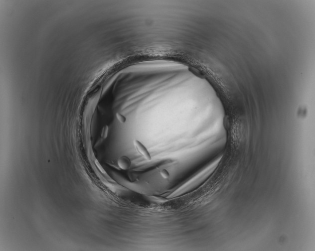 X0000097290540200802291753