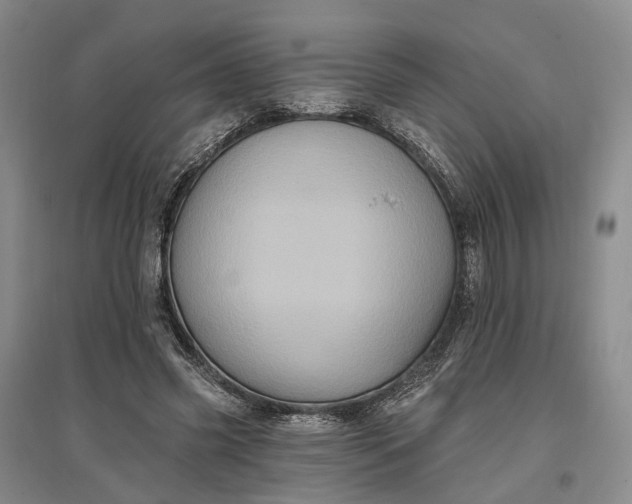 X0000097290541200802291753