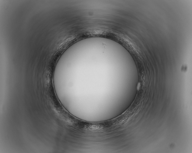 X0000097290546200802291753