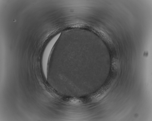 X0000097290547200802291753