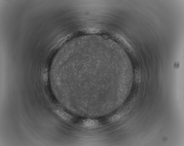 X0000097290549200802291753