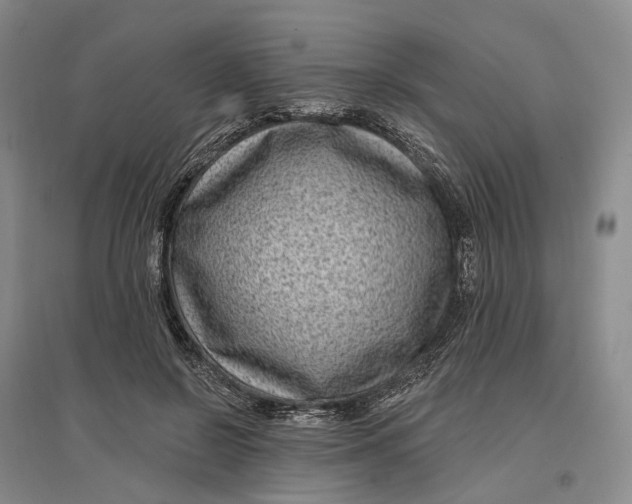 X0000097290550200802291753
