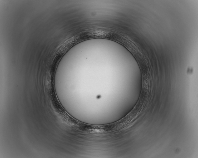 X0000097290552200802291753