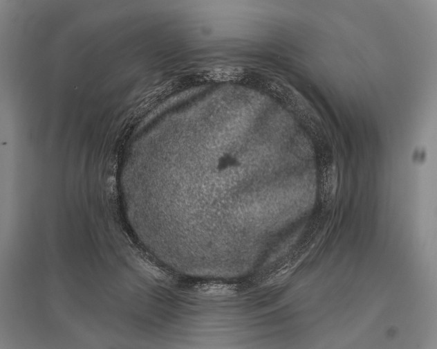 X0000097290553200802291753