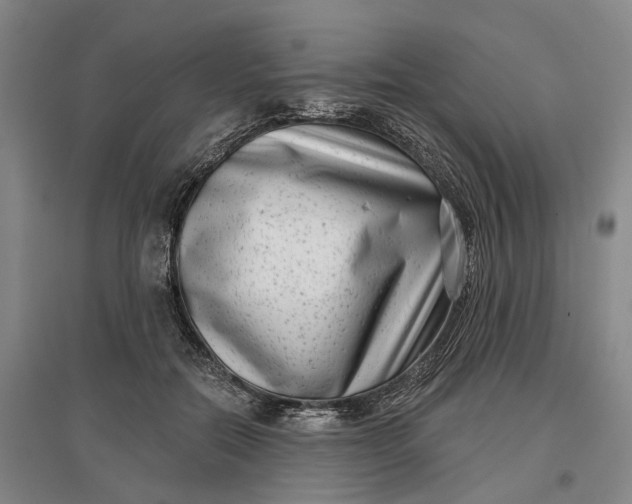 X0000097290554200802291753