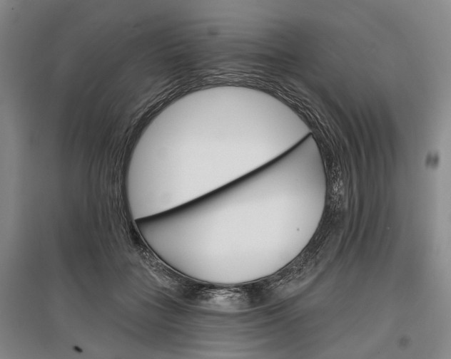 X0000097290555200802291753