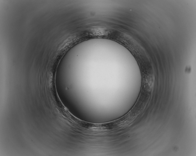 X0000097290556200802291753