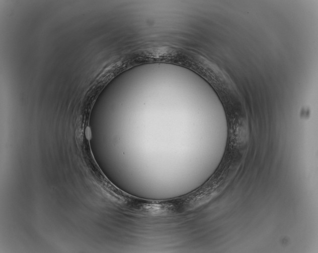 X0000097290558200802291753