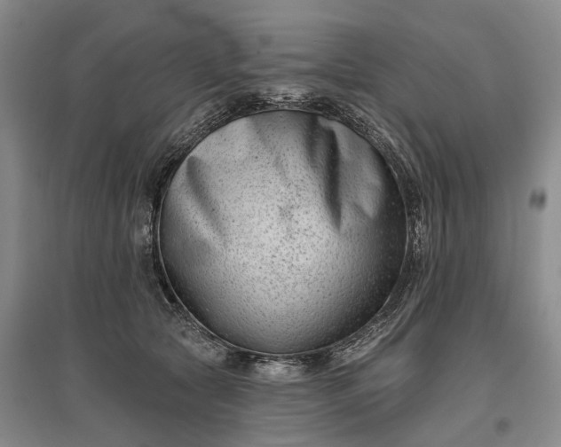 X0000097290561200802291754