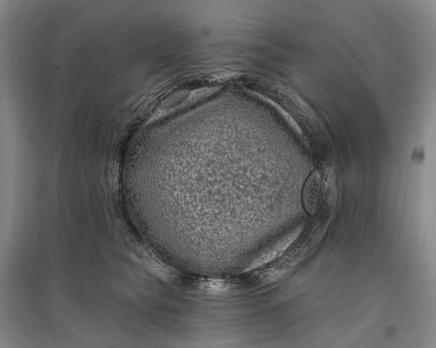 X0000097290565200802291754