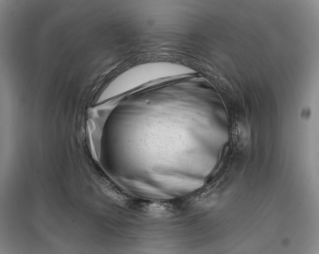 X0000097290566200802291754