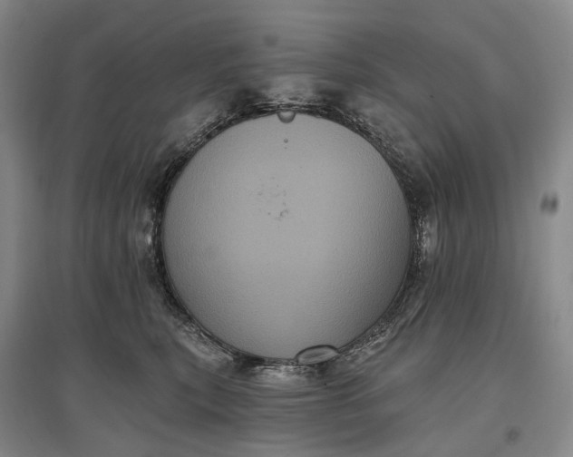 X0000097290567200802291754