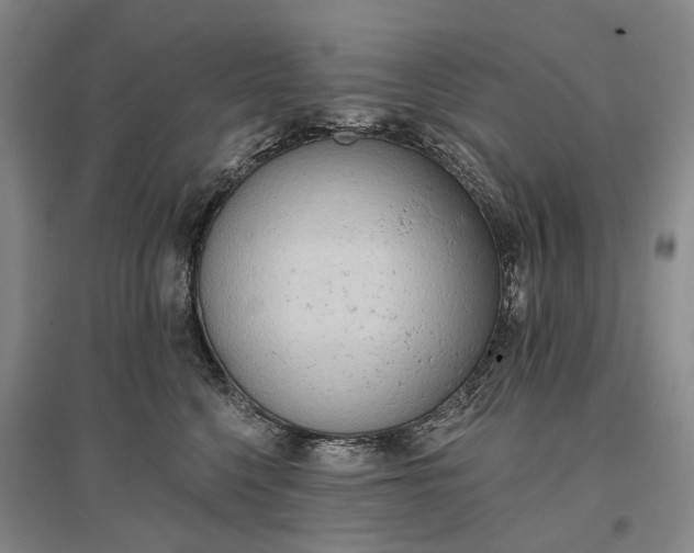 X0000097290568200802291754