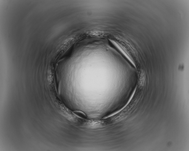 X0000097290569200802291754
