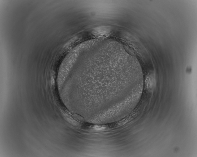 X0000097290570200802291754