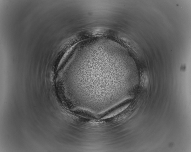 X0000097290571200802291754
