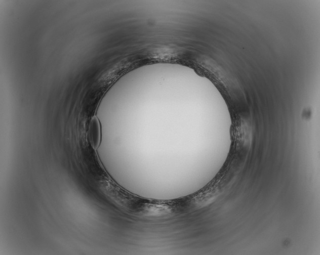 X0000097290572200802291754