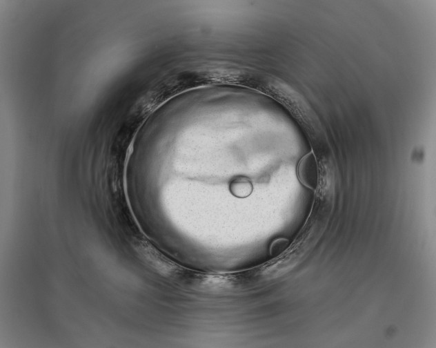 X0000097290573200802291754