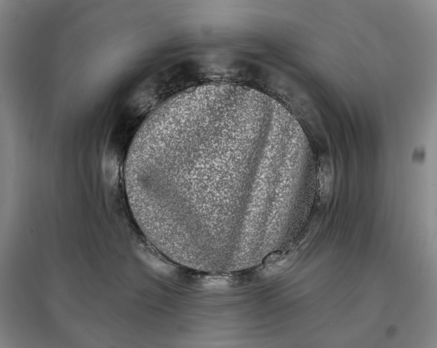 X0000097290574200802291754