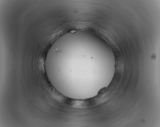 X0000097290575200802291754