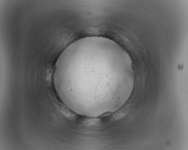 X0000097290576200802291754