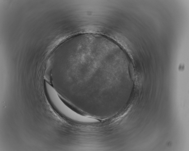 X0000097290577200802291753