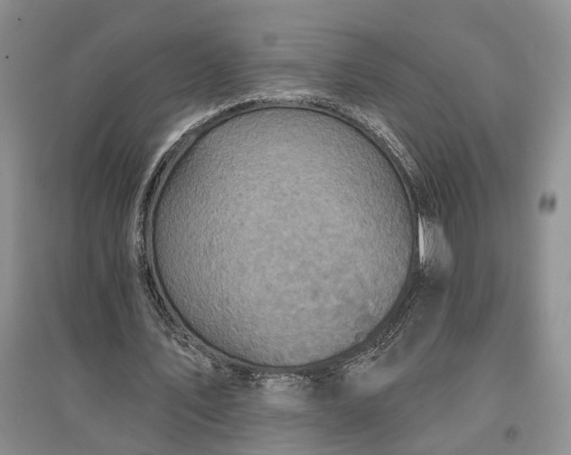 X0000097290579200802291753