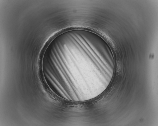 X0000097290580200802291753