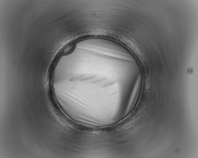 X0000097290584200802291753