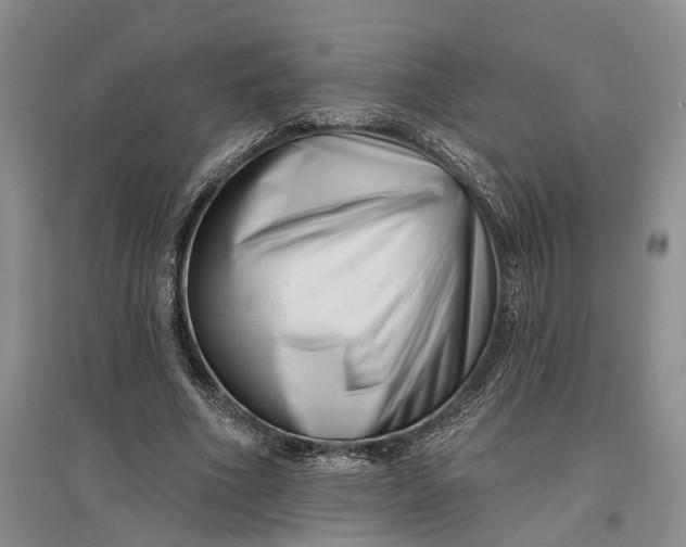 X0000097290586200802291753