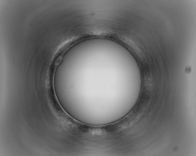 X0000097290587200802291753
