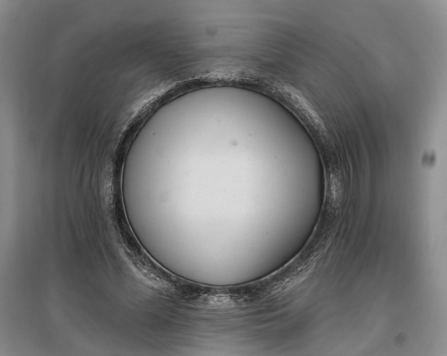 X0000097290588200802291753