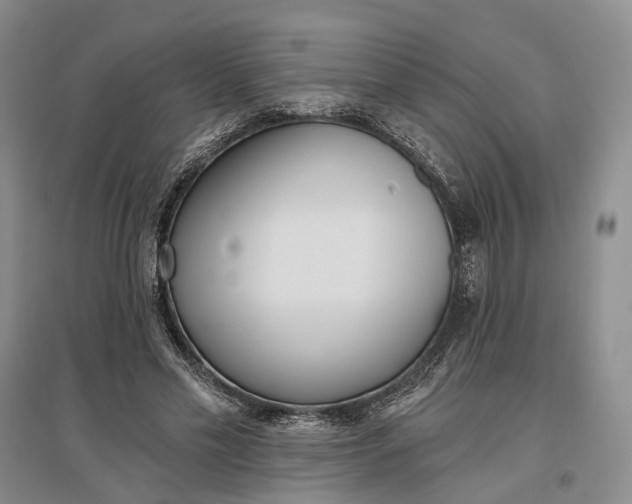 X0000097290589200802291753