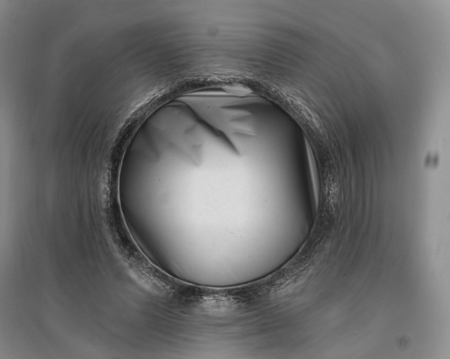 X0000097290591200802291753