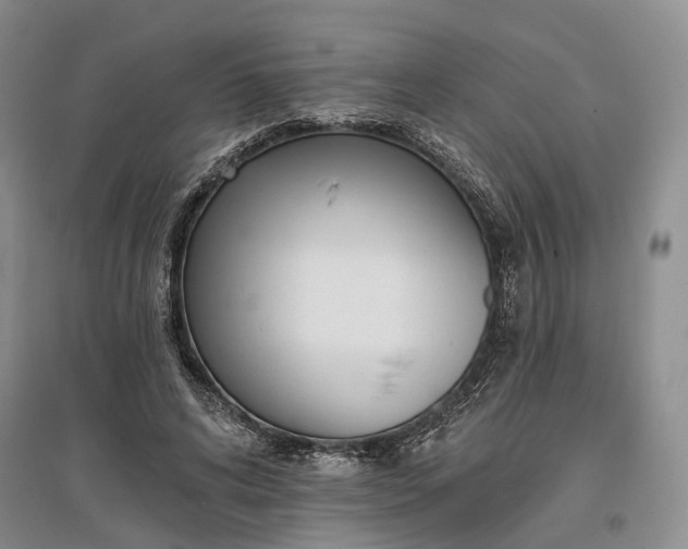 X0000097290592200802291753