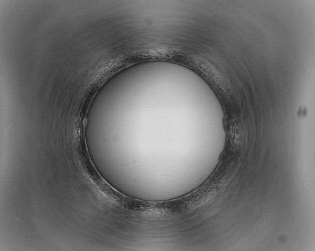 X0000097290593200802291753